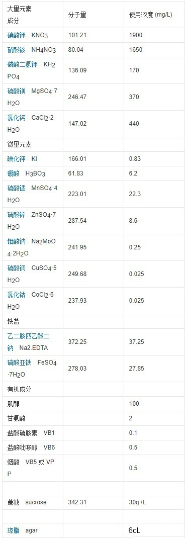 麻豆直播网站